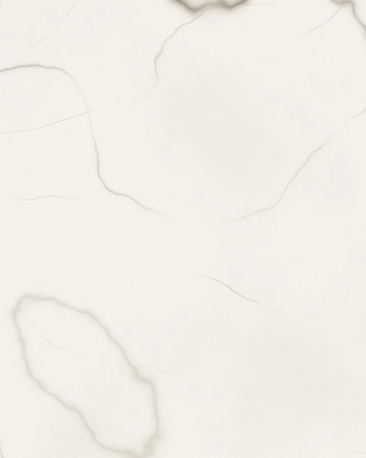 Calacatta recipe illustration
